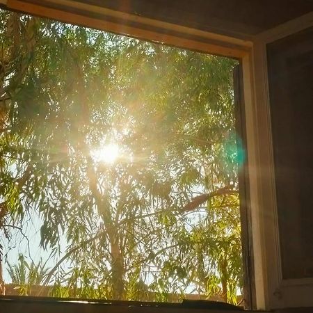 Bed and Breakfast A&S House Siwa Oasis Экстерьер фото